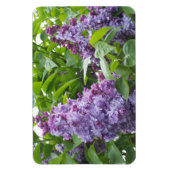Lilacs Magnet (Vertikal)