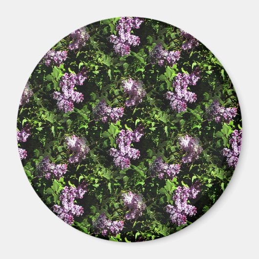 Lilacs...... Magnet (Vorne)