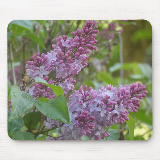 Lilacs Mousepad (Vorne)