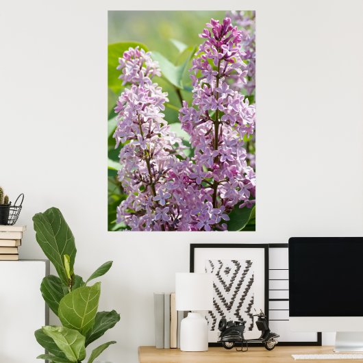 Lilacs P5390 Print Poster (Heimbüro)