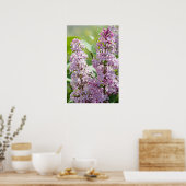 Lilacs P5390 Print Poster (Küche)