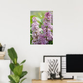 Lilacs P5390 Print Poster (Heimbüro)