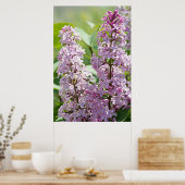 Lilacs P5390 Print Poster (Küche)
