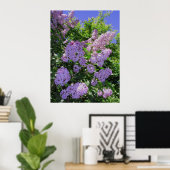 Lilacs Poster (Heimbüro)