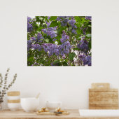 Lilacs Poster (Küche)