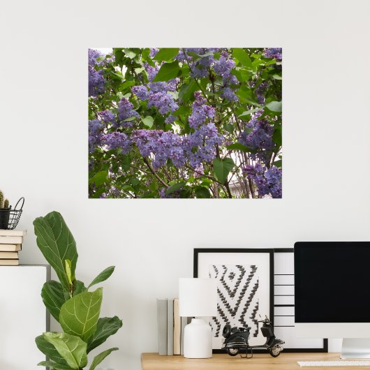 Lilacs Poster (Heimbüro)