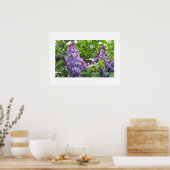 Lilacs Poster (Küche)