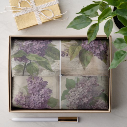 Lilacs Seidenpapier (Geschenk)