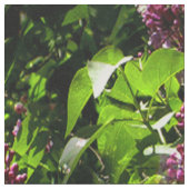 Lilacs...... Stoff (Nahaufnahme)