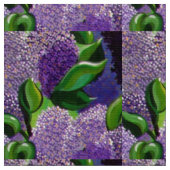 Lilacs Stoff (Nahaufnahme)