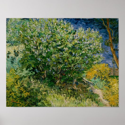 Lilacs, Vincent van Gogh Poster (Vorne)
