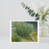 Lilacs, Vincent van Gogh Postkarte (Stehend Vorderseite)