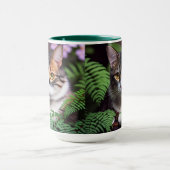 Lilah, die Tortoiseshell: Eine hübsche Katze Tasse (Zentrum)