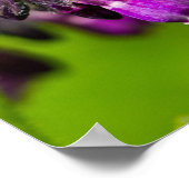 Lilas-Blumenposter Poster (Ecke)