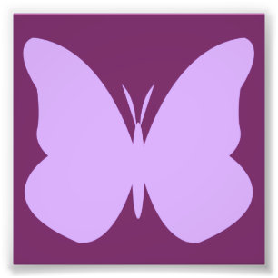 Lilatschmetterling Fotodruck