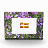 Lilette Blumen Kruste. Fotoblock (Vorderseite)