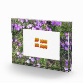 Lilette Blumen Kruste. Fotoblock (Rechts)