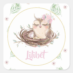 Lilibet Owl Baby Girl Shower Quadratischer Aufkleber