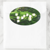 Lilie der Blume Ovaler Aufkleber (Tasche)