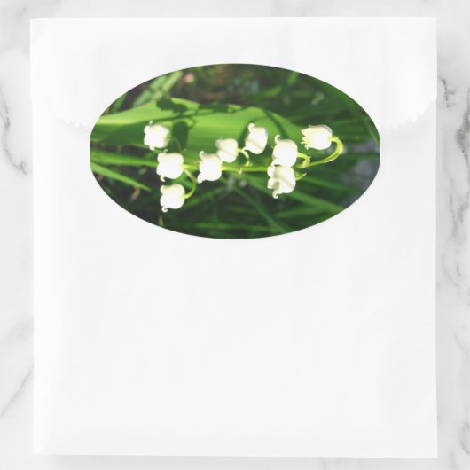 Lilie der Blume Ovaler Aufkleber (Tasche)