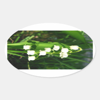Lilie der Blume Ovaler Aufkleber