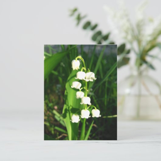 Lilie der Blume Postkarte (Stehend Vorderseite)