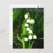 Lilie der Blume Postkarte (Vorne/Hinten)