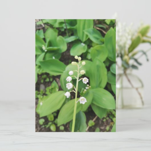 Lilie der Blume Valley Blank Card (Stehend Vorderseite)