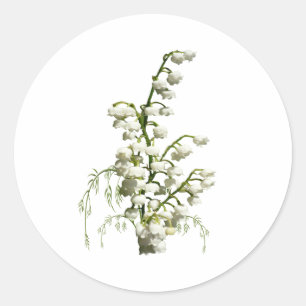 Lilie der Tal-Blumen Runder Aufkleber