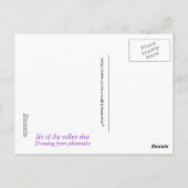 Lilie der Talelve Postkarte (Rückseite)