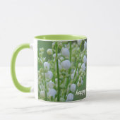 Lilie der Tasse Tal (Links)