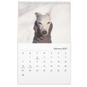 Lilie der Whippet 2017 Kalender (Feb 2027)