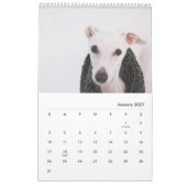Lilie der Whippet 2017 Kalender (Jan 2027)