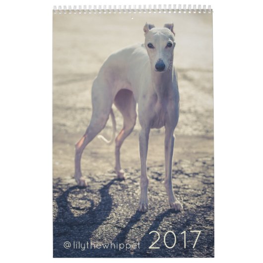 Lilie der Whippet 2017 Kalender (Titelbild)