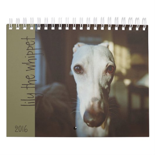 Lilie der Whippet Kalender 2016 (Titelbild)