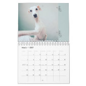 Lilie der Whippet Kalender 2016 (Mär 2027)