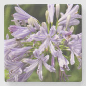 Lilie des NilsteinUntersetzer Steinuntersetzer (Vorderseite)