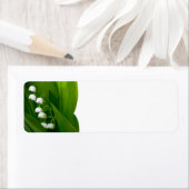 Lilie des Tals (Insitu)