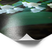 Lilie des Tals Fotodruck (Ecke)