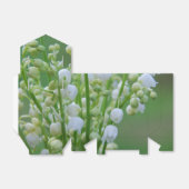 Lilie des Tals Geschenkschachtel (Ungefaltet)