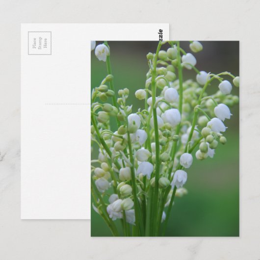 Lilie des Tals Postkarte (Vorne/Hinten)