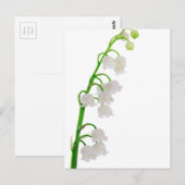 Lilie des Tals Postkarte (Vorne/Hinten)
