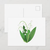 Lilie des Tals Postkarte (Vorne/Hinten)
