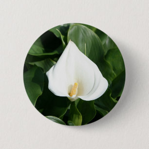 Lilie, die an der Calla-Lilien-Plantage, Taiwan Button