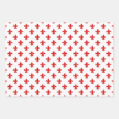 Lilie DIY Muster und Hintergrundfarben Geschenkpapier Set (Vorderseite 3)