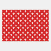 Lilie DIY Muster und Hintergrundfarben Geschenkpapier Set (Vorderseite)