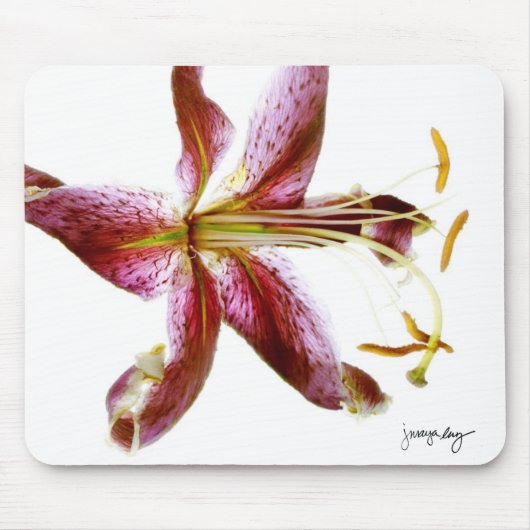 "Lilie" durch J. Maya Luz Mousepad (Vorne)