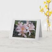 Lilie Karte (Gelbe Blume)