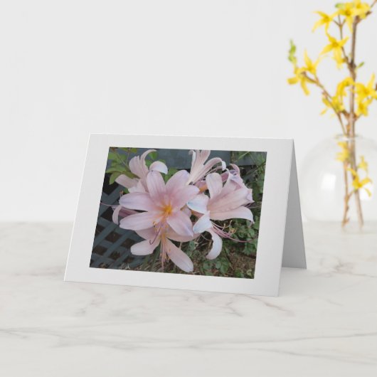 Lilie Karte (Gelbe Blume)