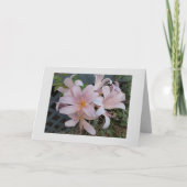 Lilie Karte (Vorderseite)